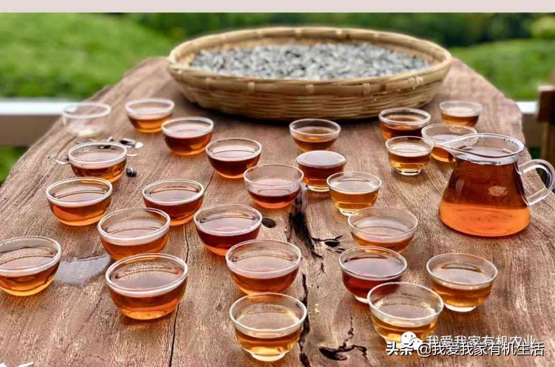 普洱茶的4个数字是什么意思：普洱茶品级与数字关联，你知道吗？