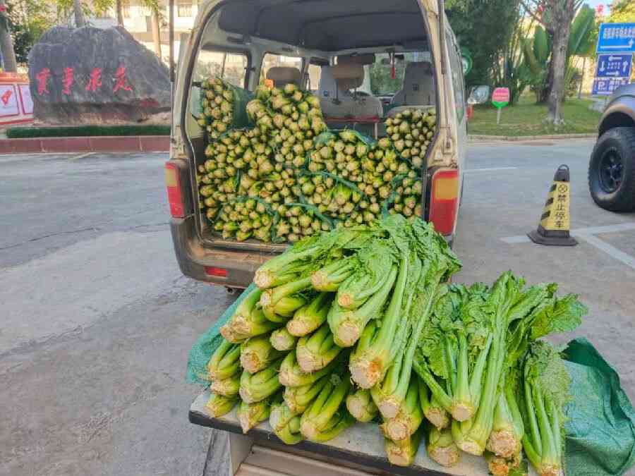 刚喝普洱先喝什么