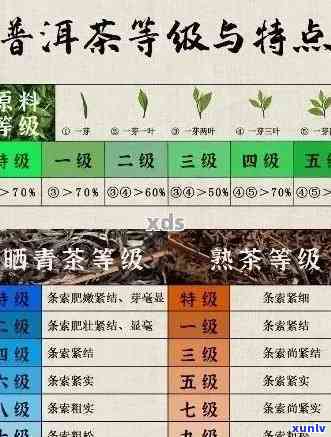 揭秘普洱茶7526:一款独具匠心的名茶背后的故事与特点