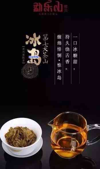 云南茶文化与冰岛茶的融合：品味来自两地的独特风味