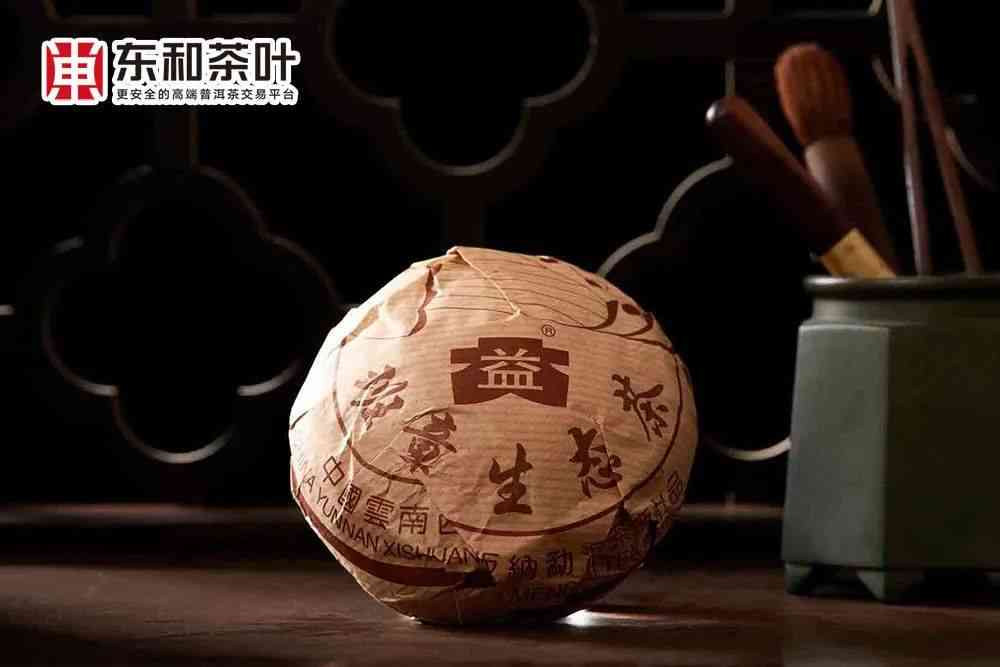 大益六星雀班章生态茶沱茶：品种特点、制作工艺与品饮体验详解