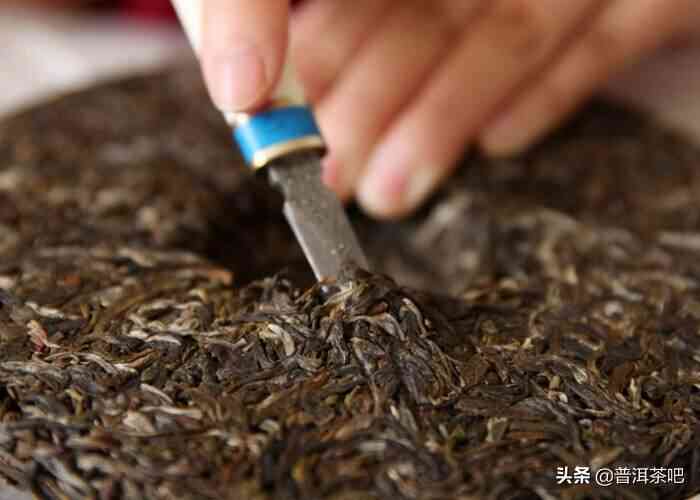 普洱茶捡剔的重要性及其对茶叶品质的影响：一篇全面的指南