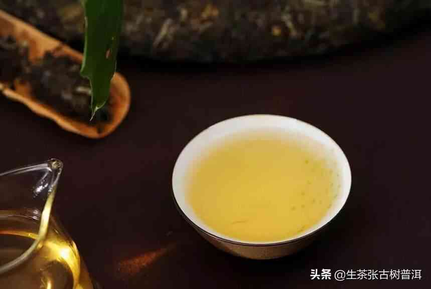 云南普洱茶：台地茶与高山茶的区别解析，品尝与选购技巧一应俱全