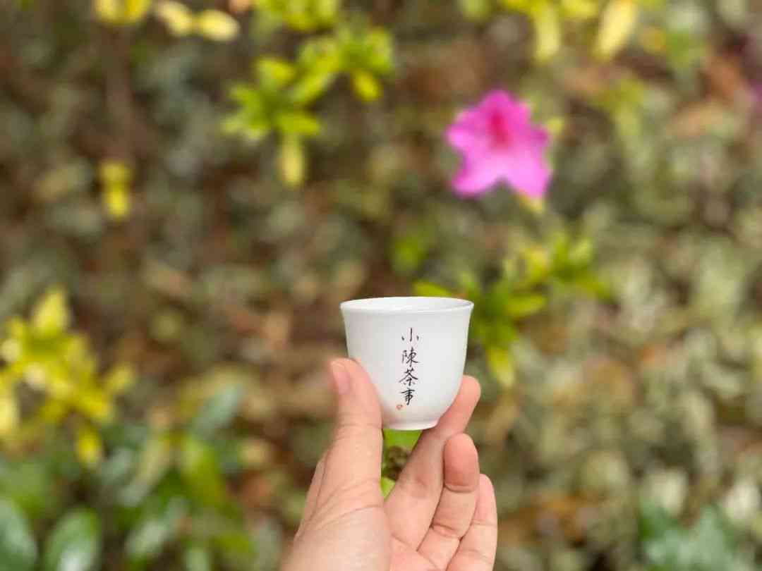 普洱茶台地茶和高山茶的区别：它们之间有很大的差别吗？