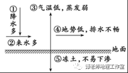 班章与易武的差异解析：独特之处在哪里？