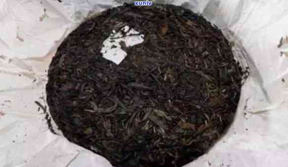 普洱茶中发现大黑虫子？了解详细情况及解决方法！