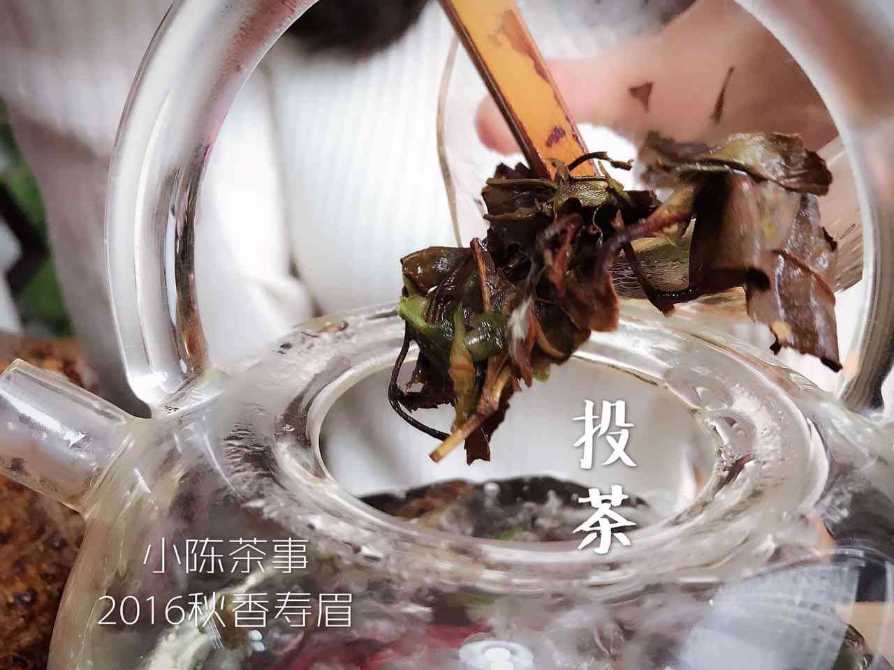 泡茶的正确顺序：先放茶叶还是先注水？了解这些技巧，让你泡出一杯好茶