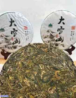 勐库大雪山茶厂：品质、历、文化等全方位解析，了解这家茶厂的全貌