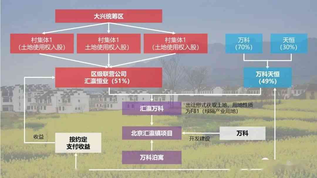 如何准确地区分鹅卵石和玉石：实用指南与重要因素分析