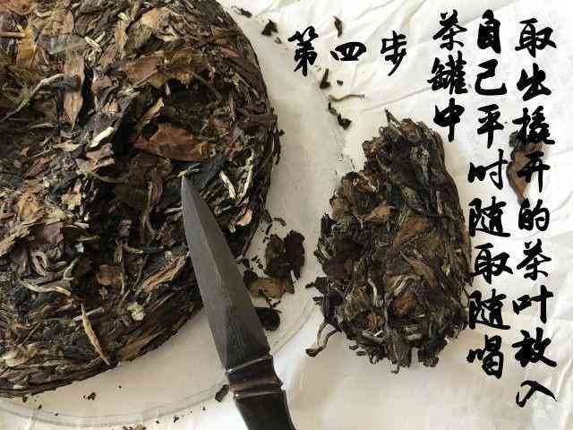 普洱茶压饼工艺的历沿革及其演变：从何时开始至今的传承发展？