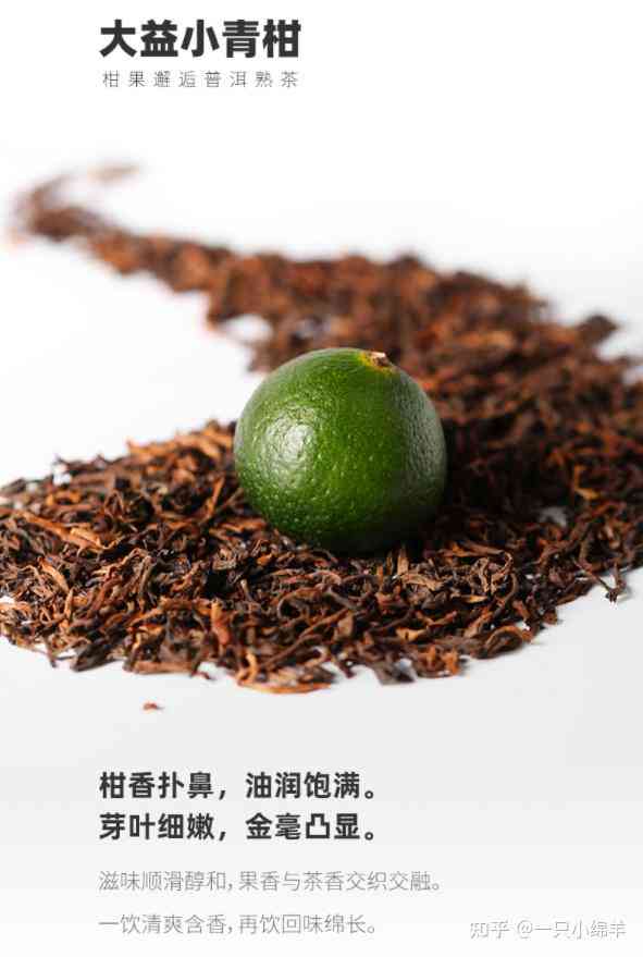 小青柑普洱茶：口感对比与陈皮的独特魅力