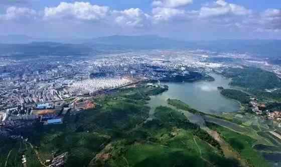 普洱茶昆明市吗