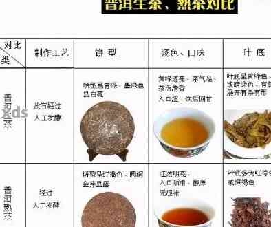 老同志的普洱茶：品鉴、冲泡与收藏攻略，一篇全面的指南！