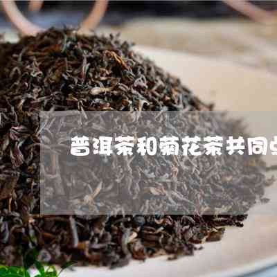 普洱茶种类大全：了解各种普洱茶的特点、功效与饮用方法