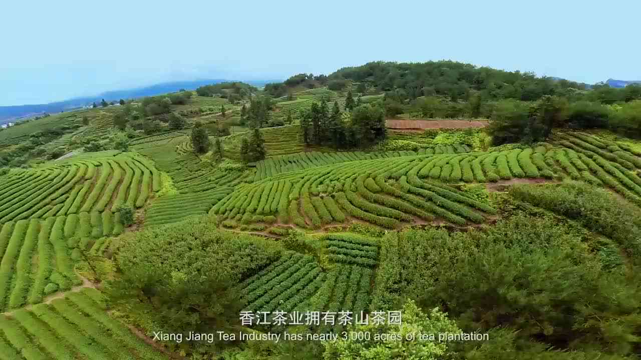 武夷山市晨兮茶叶