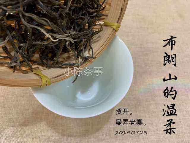 大白茶普洱茶头春茶口感