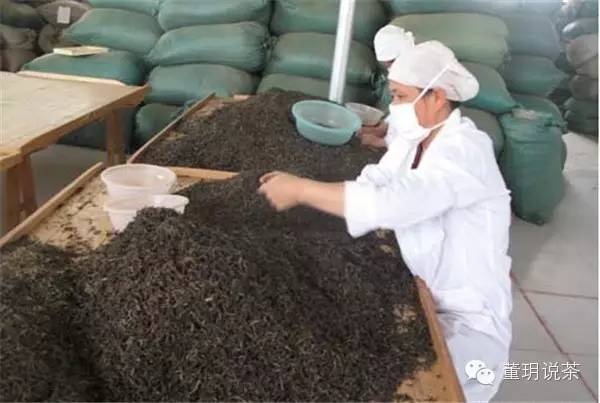 如何辨别普洱茶的制作工艺：生茶与熟茶的区别解析