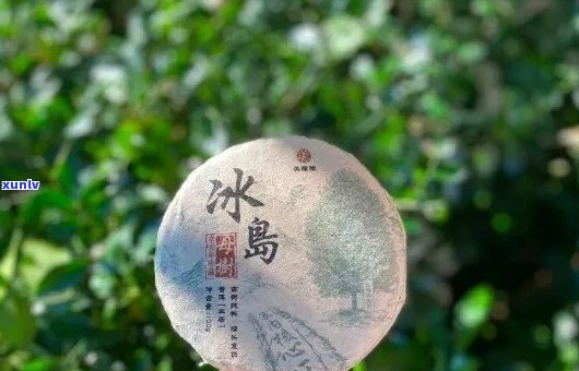 '昔归茶和冰岛茶价格比较：哪个更贵？'