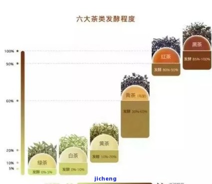 茶的适宜饮用人群：从健、年龄、性别到生活方式的全方位考量