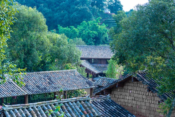 普洱茶喝后清凉感的原因及如何体验更佳的饮用效果