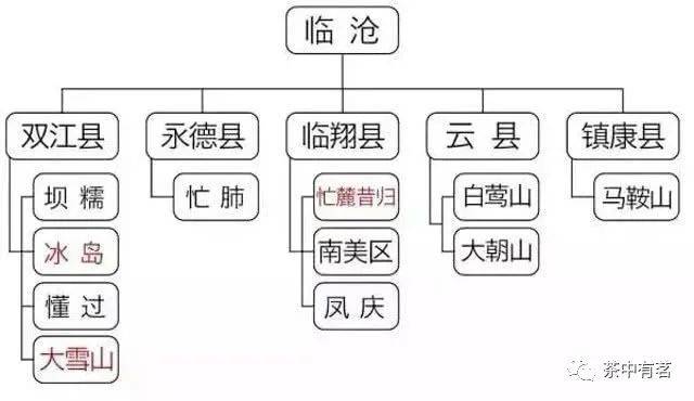 普洱茶产区的两大类别及其特点详解：版纳与临沧茶叶区别全解析