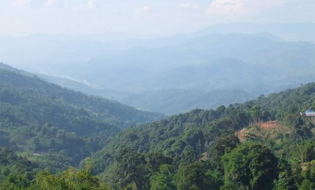 版纳地区有哪些著名的普洱茶山峰？