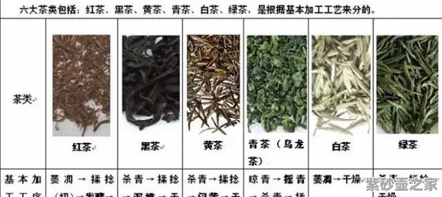 茶的五大类及其制作工艺详解：红茶、绿茶、白茶、黑茶与黄茶的区别