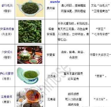 茶是按什么分类的