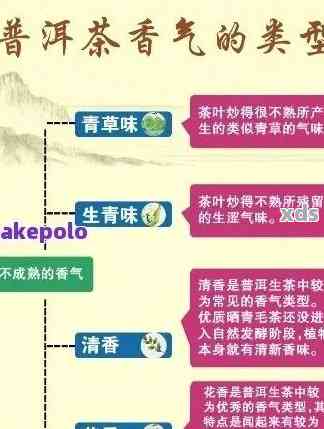 从品种、产地到口感：全面解析普洱茶选购指南，让你轻松成为茶叶专家