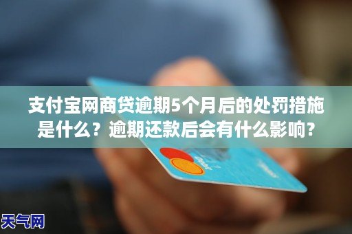 网商贷5万逾期一个月会有什么后果