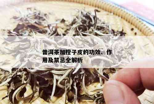 普洱茶和橙子皮的食用安全性及相关注意事项：全面了解它们的食用效果与禁忌