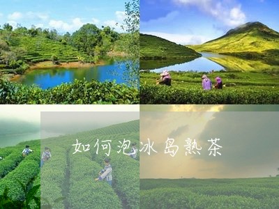 冰岛茶用多少度水泡