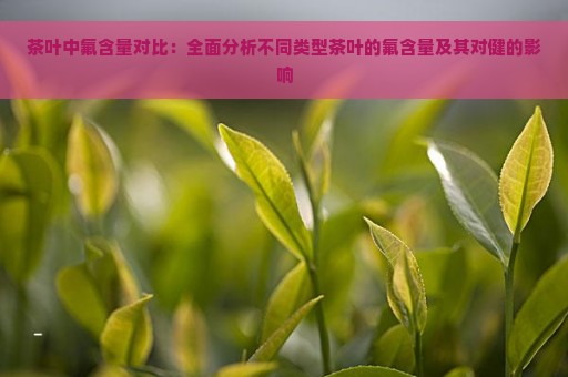 茶叶中氟含量的测定：方法与实践，涉及不同类型的茶叶