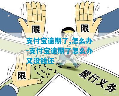 支付宝逾期后不能线上还款怎么办