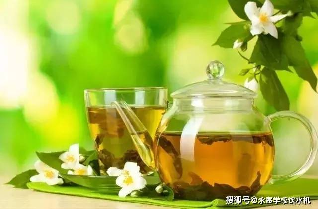 户外喝茶全方位指南：如何选择合适的烧水壶以满足不同需求