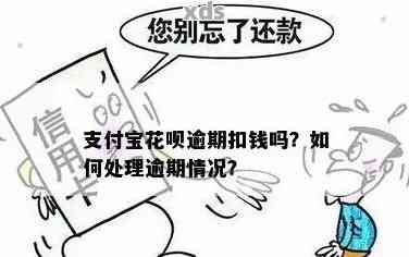 支付宝借呗逾期了罚息好多的处理方式