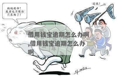 用钱宝逾期半年没还应该如何处理