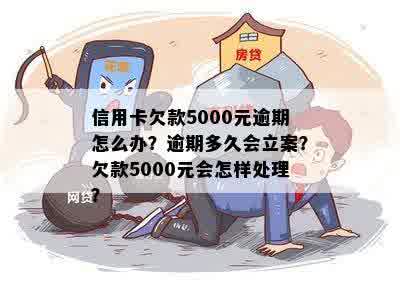 欠信用卡5000能立案吗怎么解决