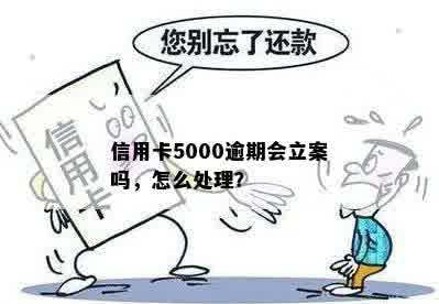 欠信用卡5000能立案吗怎么解决