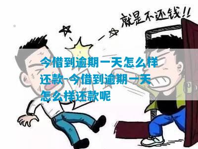 小薪意逾期一天会产生什么后果