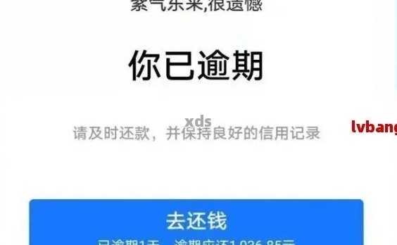 被支付宝花呗借呗逾期怎么处理