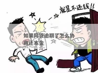 网贷逾期了还本金能否商量