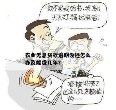 农贷还不上的后果