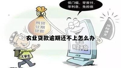 农贷还不上的后果