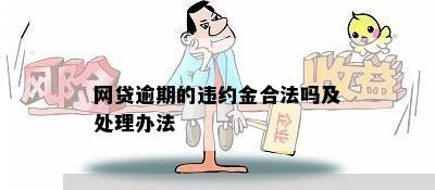 怎么减免网贷逾期违约金的方法和技巧