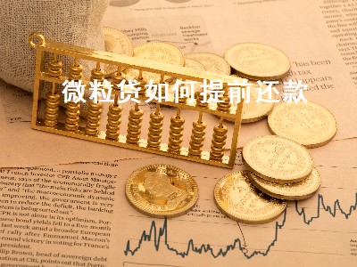 微立贷最长期6个月还款需要注意什么