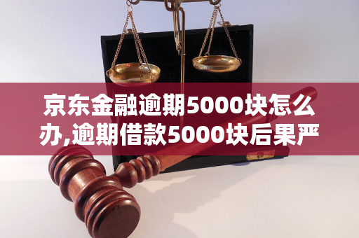 京东金融5000逾期一天罚息多少