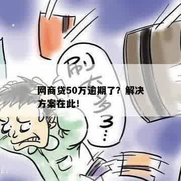 网商贷逾期50万怎么解决