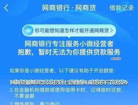 网商贷逾期50万怎么解决