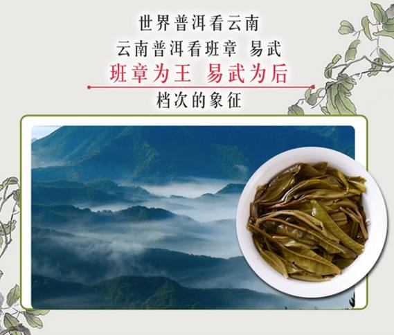 绿色生态班章：大树茶的纯净之美与健之选